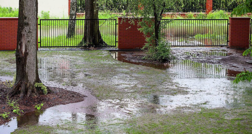 the result of poor surface water drainage in a backyard