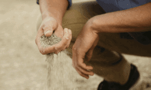 man sifting soil through hand whilst squatting down